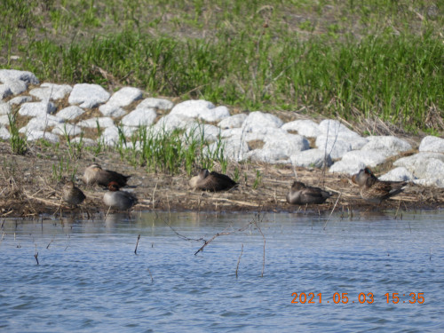 DSCN9848.JPG