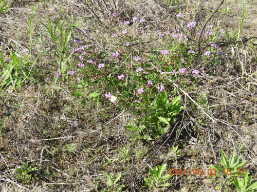 DSCN9847.JPG