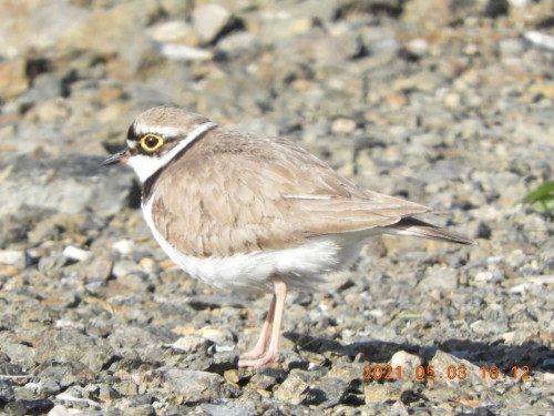 DSCN9865.JPG