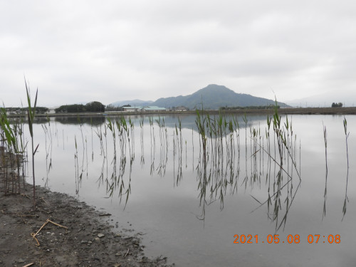 DSCN9899.JPG
