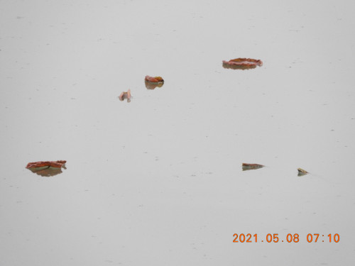 DSCN9902.JPG