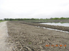 DSCN9896.JPG