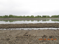DSCN9897.JPG