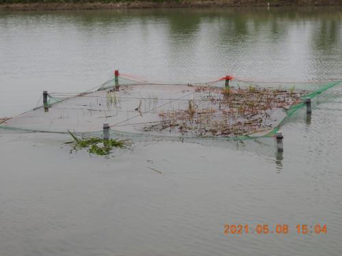 DSCN9921.JPG