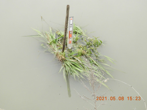 DSCN9925.JPG
