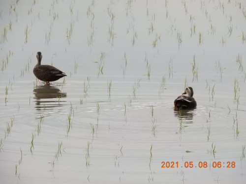 DSCN9890.JPG