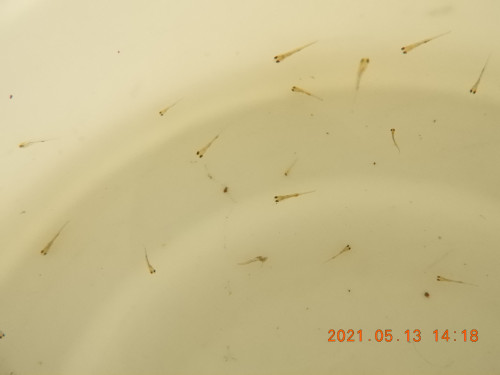 DSCN9979.JPG