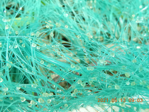 DSCN9970.JPG