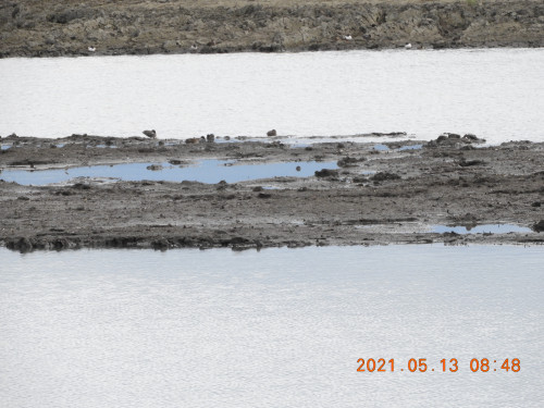 DSCN9965.JPG