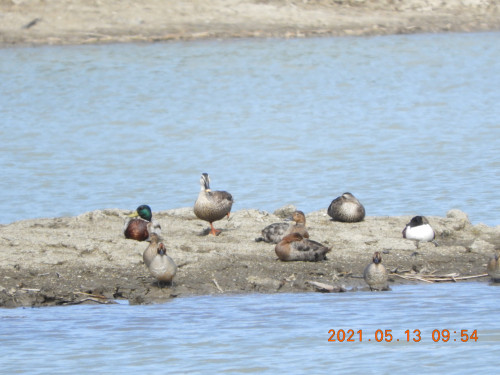 DSCN9972.JPG