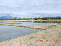 DSCN9984.JPG