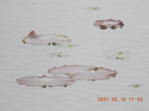 DSCN0032.JPG