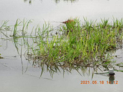 DSCN0042.JPG