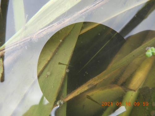 DSCN0010.JPG