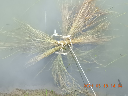 DSCN0034.JPG
