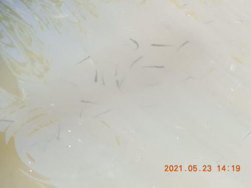 DSCN0128.JPG