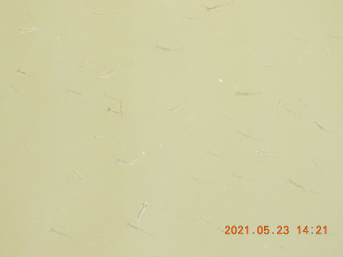 DSCN0138.JPG