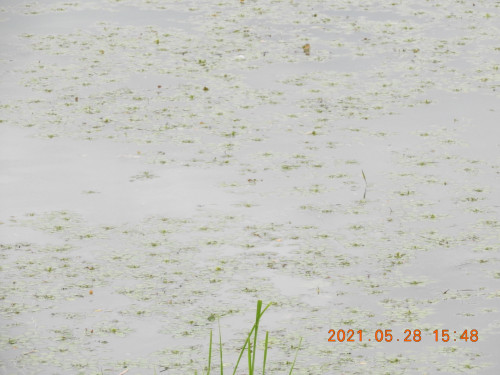 DSCN0190.JPG
