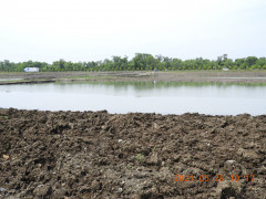 DSCN0181.JPG