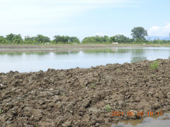 DSCN0182.JPG