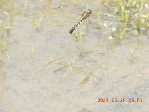 DSCN0167.JPG