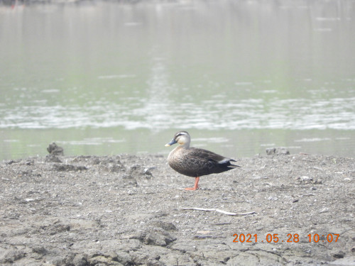 DSCN0175.JPG