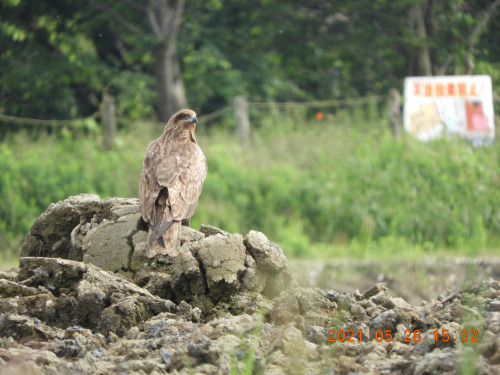 DSCN0185.JPG