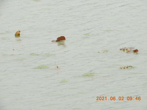 DSCN9875.JPG