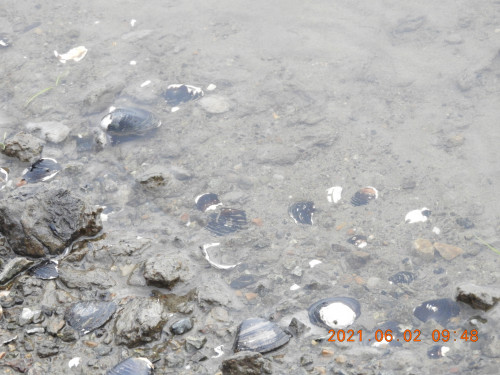 DSCN9878.JPG