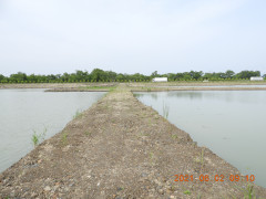 DSCN9863.JPG
