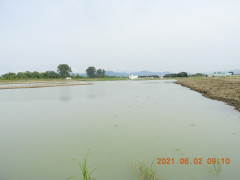 DSCN9864.JPG