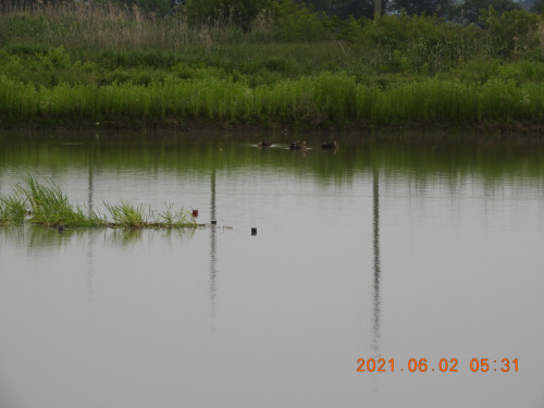 DSCN9853.JPG