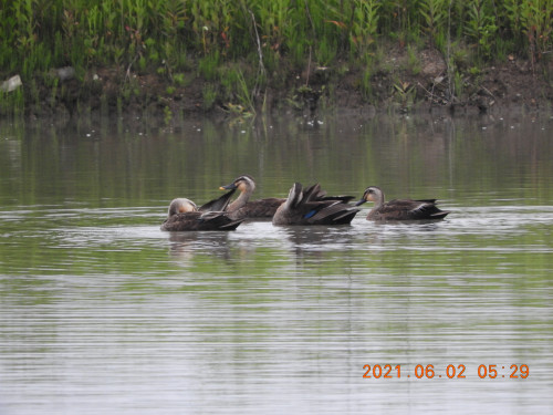 DSCN9852.JPG