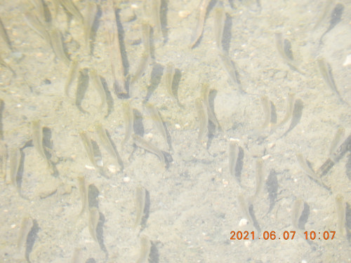 DSCN9930.JPG