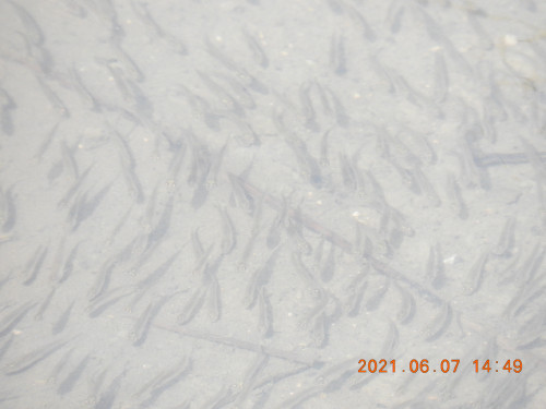 DSCN9935.JPG