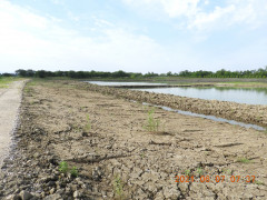 DSCN9920.JPG