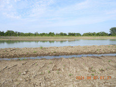 DSCN9921.JPG