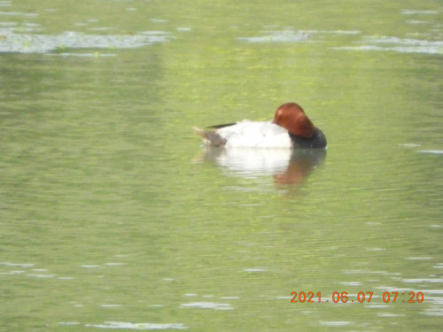 DSCN9899.JPG
