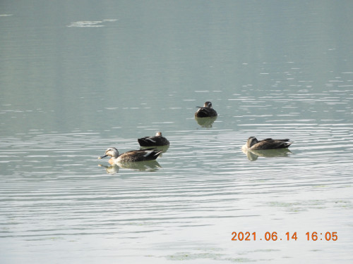 DSCN9988.JPG