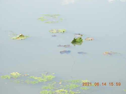 DSCN9987.JPG