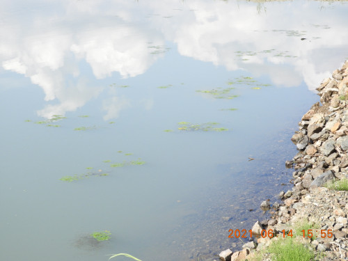 DSCN9986.JPG
