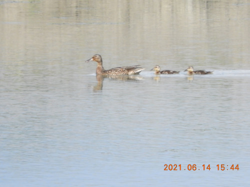 DSCN9977.JPG