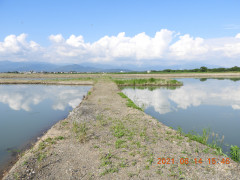DSCN9979.JPG