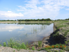 DSCN9980.JPG
