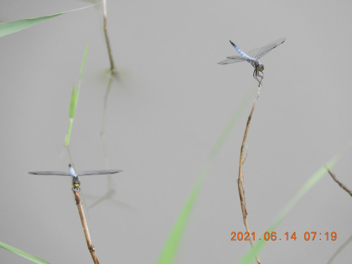 DSCN9973.JPG
