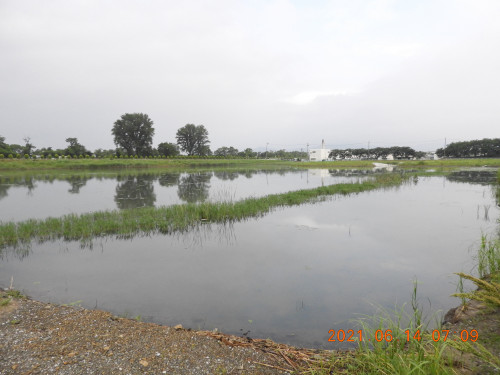 DSCN9963.JPG