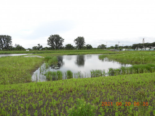 DSCN0055.JPG