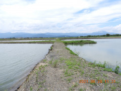 DSCN0068.JPG
