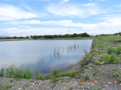 DSCN0069.JPG