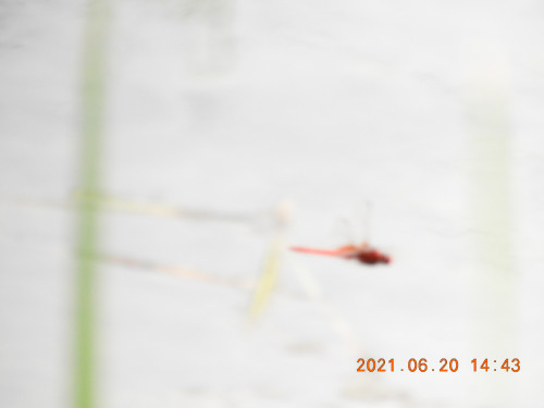 DSCN0086.JPG